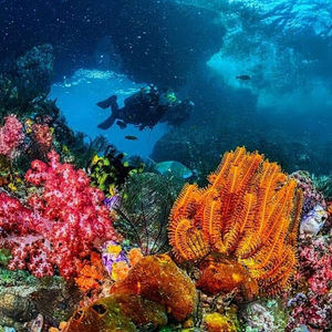 Meet your Posher, Sophia